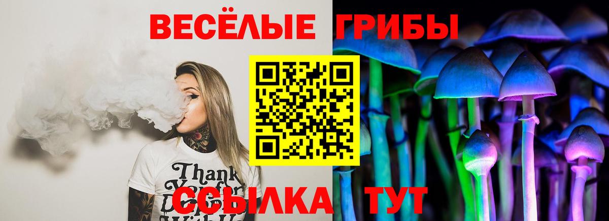 Анжеро-Судженск  Галлюциногенные грибы GOLDEN TEACHER  Псилоцибиновые грибы Psilocybe  Вход с VPN 